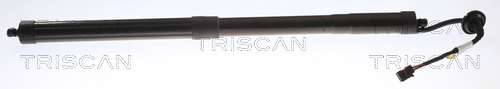 TRISCAN Gasfeder, Koffer-/Laderaum