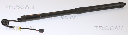 TRISCAN Gasfeder, Koffer-/Laderaum