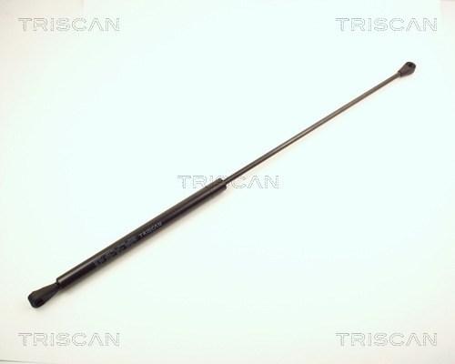 TRISCAN Gasfeder, Koffer-/Laderaum