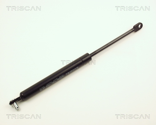 TRISCAN Gasfeder, Koffer-/Laderaum