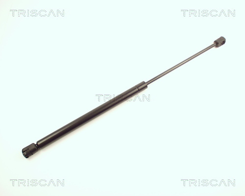 TRISCAN Gasfeder, Koffer-/Laderaum