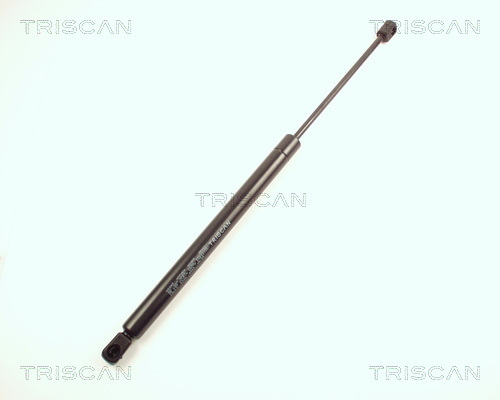 TRISCAN Gasfeder, Koffer-/Laderaum