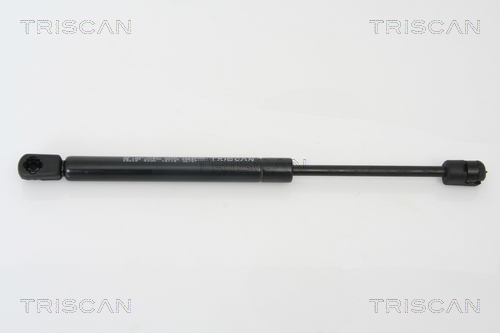 TRISCAN Gasfeder, Heckscheibe
