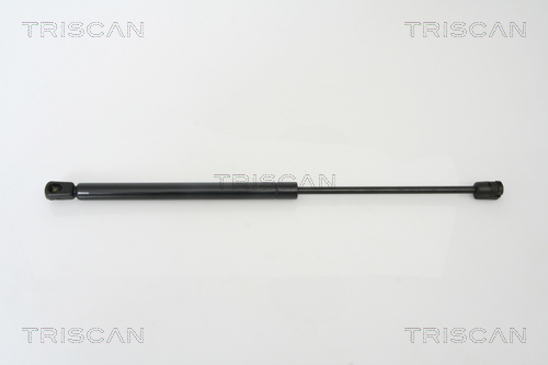 TRISCAN Gasfeder, Koffer-/Laderaum