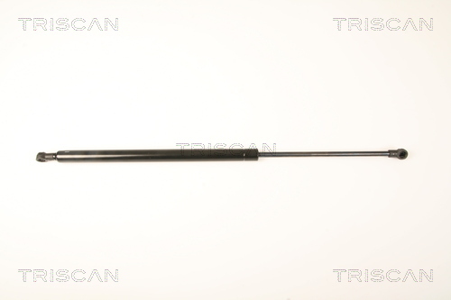 TRISCAN Gasfeder, Koffer-/Laderaum