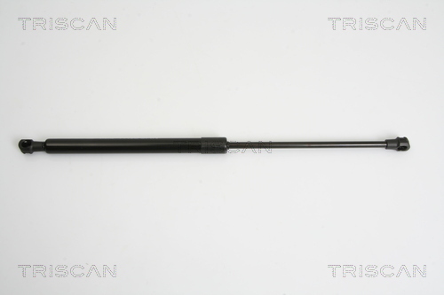 TRISCAN Gasfeder, Heckscheibe