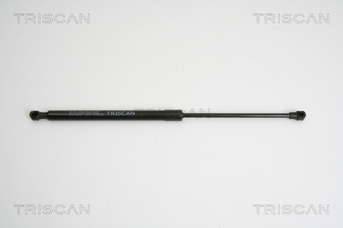 TRISCAN Gasfeder, Koffer-/Laderaum
