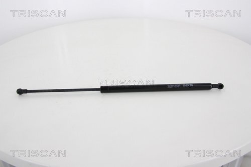 TRISCAN Gasfeder, Koffer-/Laderaum