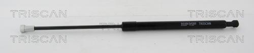 TRISCAN Gasfeder, Koffer-/Laderaum