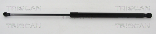 TRISCAN Gasfeder, Koffer-/Laderaum