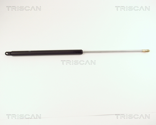 TRISCAN Gasfeder, Koffer-/Laderaum