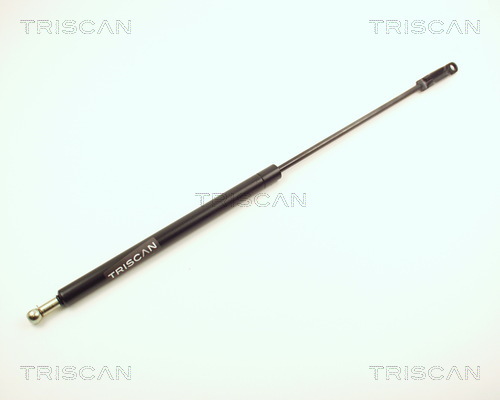 TRISCAN Gasfeder, Koffer-/Laderaum