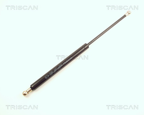 TRISCAN Gasfeder, Koffer-/Laderaum