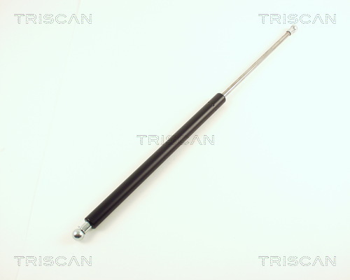 TRISCAN Gasfeder, Koffer-/Laderaum