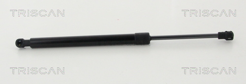 TRISCAN Gasfeder, Koffer-/Laderaum