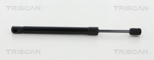 TRISCAN Gasfeder, Koffer-/Laderaum