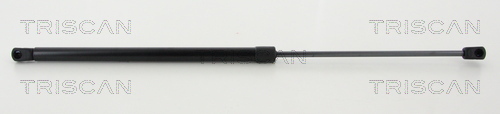 TRISCAN Gasfeder, Koffer-/Laderaum