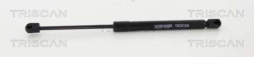 TRISCAN Gasfeder, Koffer-/Laderaum