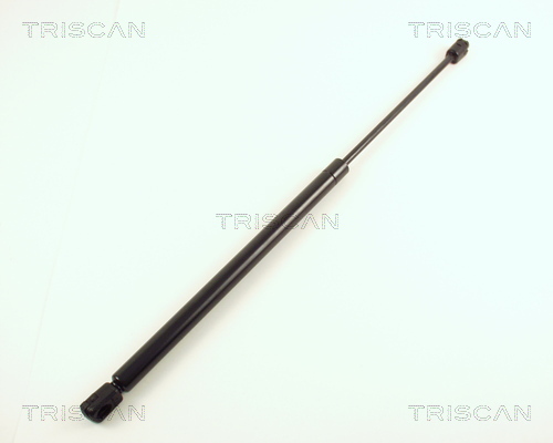 TRISCAN Gasfeder, Koffer-/Laderaum
