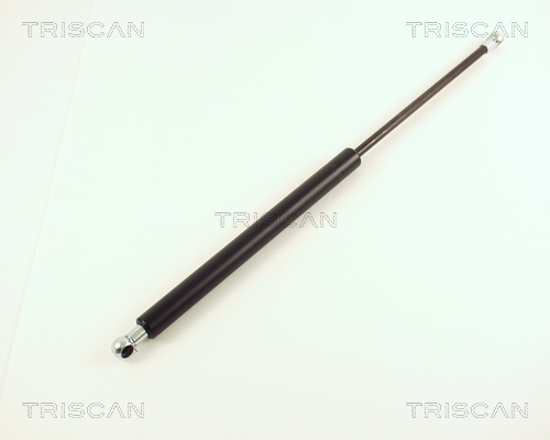 TRISCAN Gasfeder, Koffer-/Laderaum