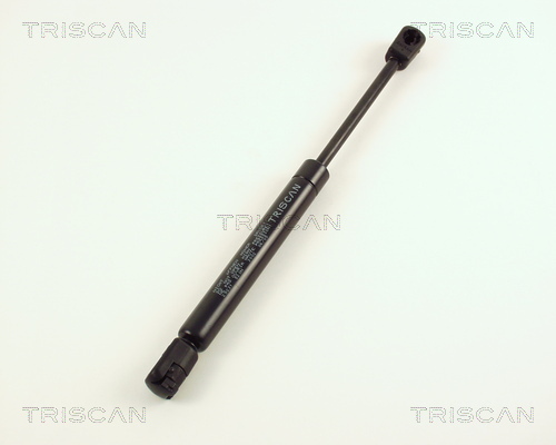 TRISCAN Gasfeder, Koffer-/Laderaum