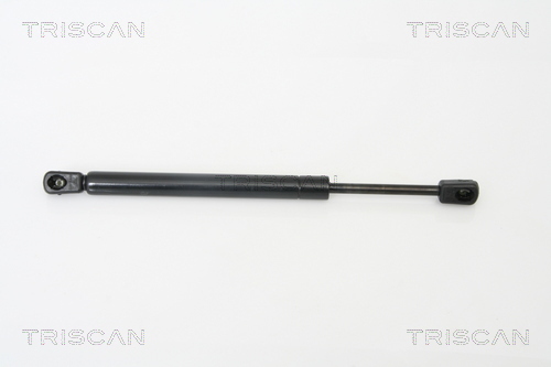 TRISCAN Gasfeder, Koffer-/Laderaum