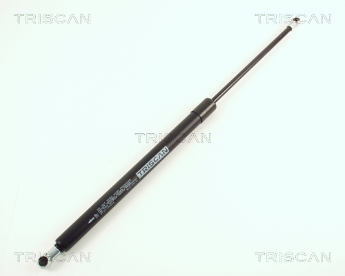 TRISCAN Gasfeder, Koffer-/Laderaum