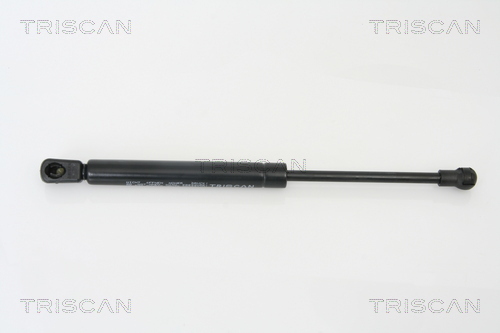 TRISCAN Gasfeder, Koffer-/Laderaum