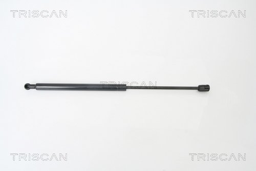 TRISCAN Gasfeder, Koffer-/Laderaum