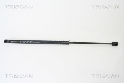 TRISCAN Gasfeder, Koffer-/Laderaum