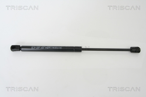 TRISCAN Gasfeder, Koffer-/Laderaum