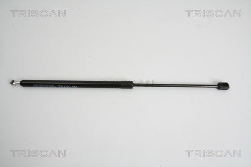 TRISCAN Gasfeder, Koffer-/Laderaum