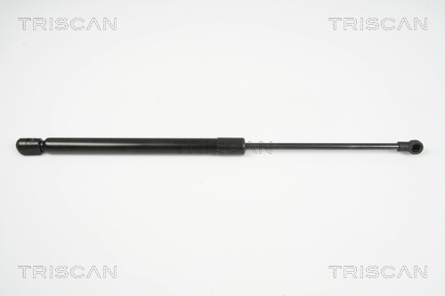 TRISCAN Gasfeder, Koffer-/Laderaum