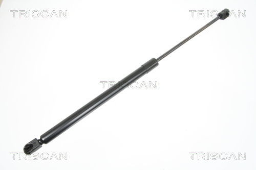 TRISCAN Gasfeder, Koffer-/Laderaum