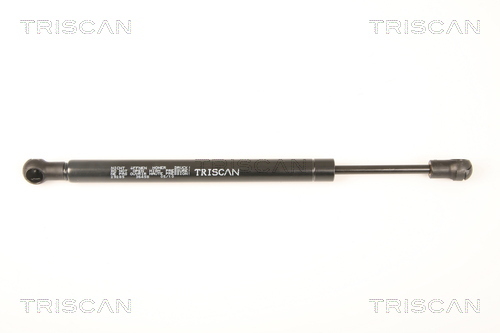 TRISCAN Gasfeder, Koffer-/Laderaum