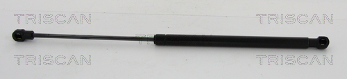 TRISCAN Gasfeder, Koffer-/Laderaum