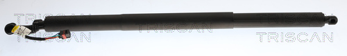 TRISCAN Gasfeder, Koffer-/Laderaum