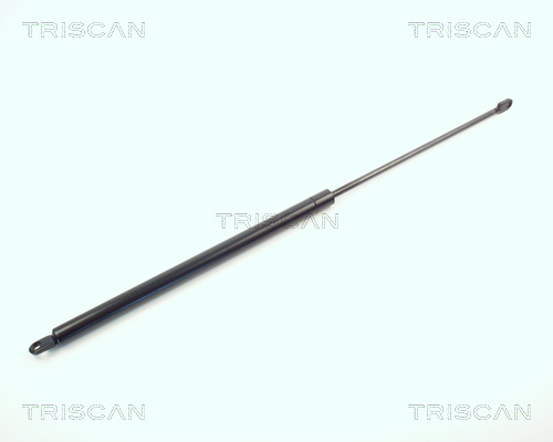 TRISCAN Gasfeder, Koffer-/Laderaum