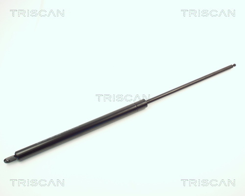 TRISCAN Gasfeder, Koffer-/Laderaum
