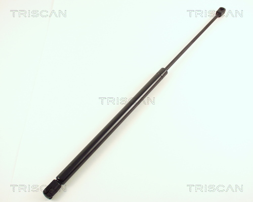 TRISCAN Gasfeder, Koffer-/Laderaum