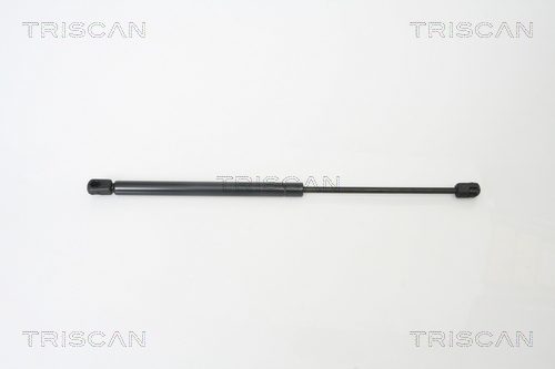 TRISCAN Gasfeder, Koffer-/Laderaum