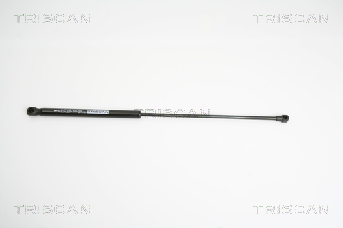 TRISCAN Gasfeder, Koffer-/Laderaum