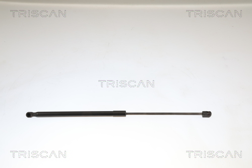 TRISCAN Gasfeder, Koffer-/Laderaum