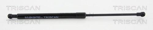 TRISCAN Gasfeder, Koffer-/Laderaum
