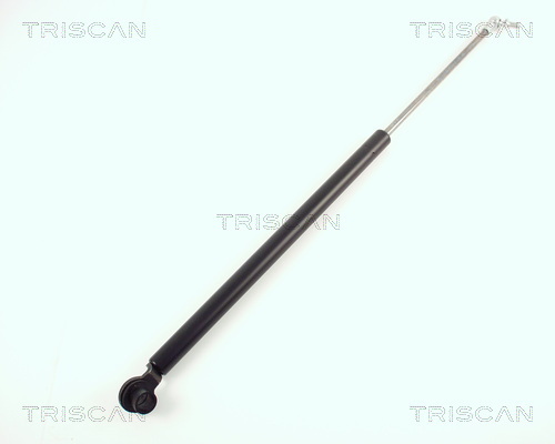 TRISCAN Gasfeder, Koffer-/Laderaum