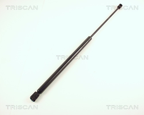 TRISCAN Gasfeder, Koffer-/Laderaum