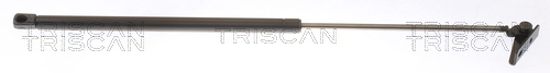 TRISCAN Gasfeder, Koffer-/Laderaum