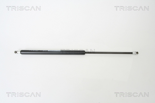 TRISCAN Gasfeder, Koffer-/Laderaum