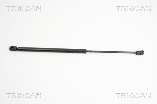 TRISCAN Gasfeder, Koffer-/Laderaum