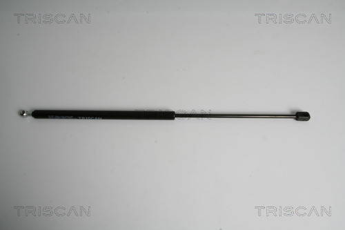 TRISCAN Gasfeder, Koffer-/Laderaum